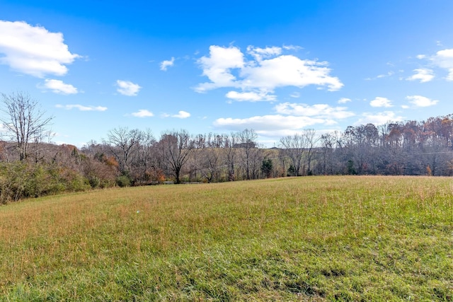 view of yard featuring a rural view