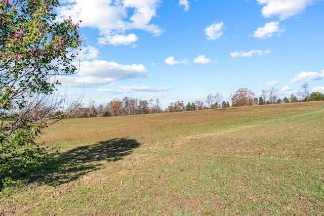 view of yard featuring a rural view