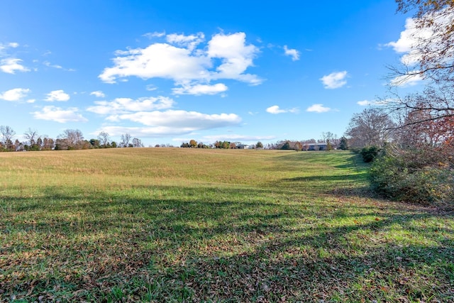 view of yard featuring a rural view