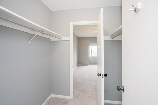 walk in closet with light colored carpet