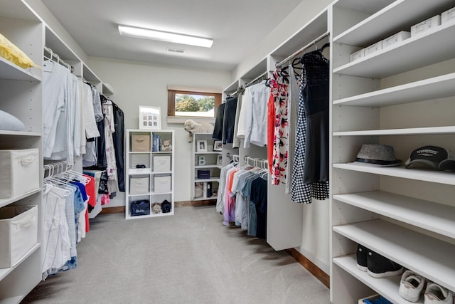 walk in closet featuring carpet flooring