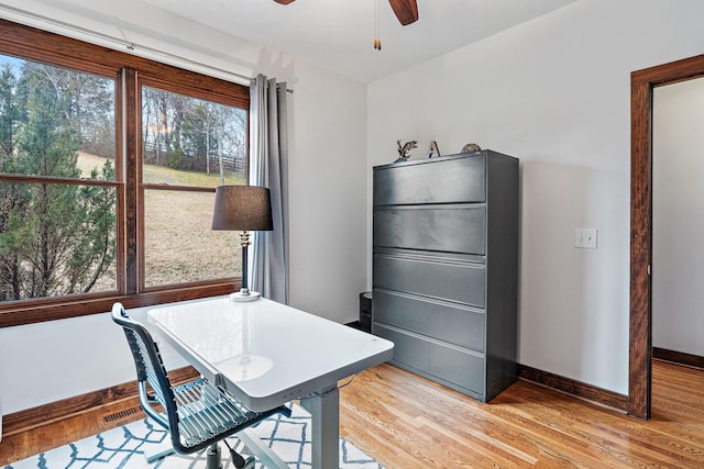 office featuring light hardwood / wood-style flooring and ceiling fan