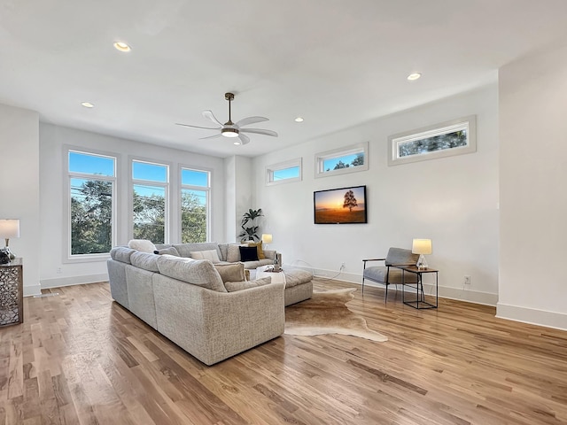 living room featuring ceiling fan and light wood-type flooring