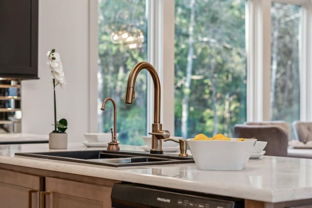 room details with dishwasher and sink