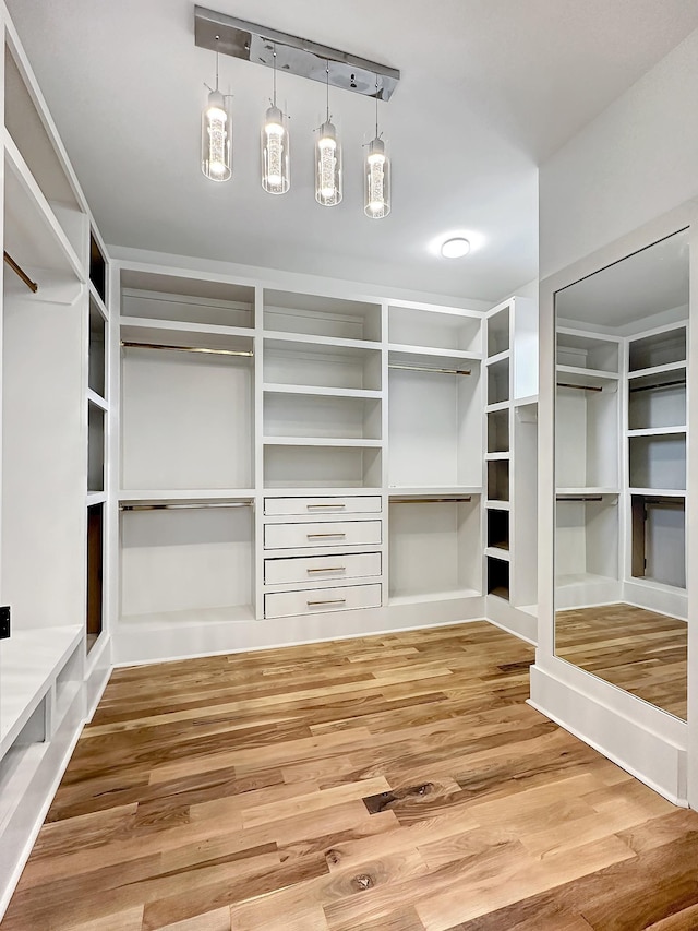 walk in closet with hardwood / wood-style floors