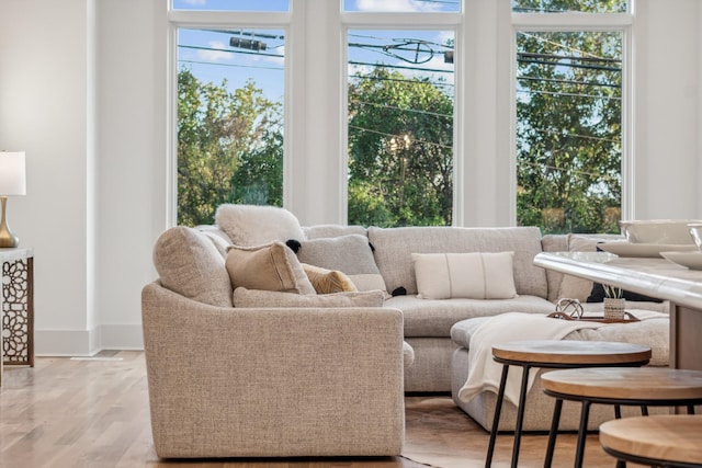 living room with light wood-type flooring