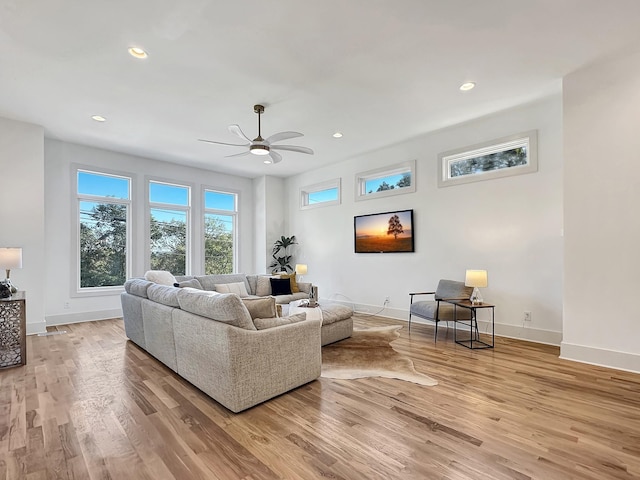 living room with ceiling fan and light hardwood / wood-style flooring