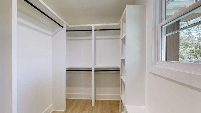 walk in closet with light wood-type flooring