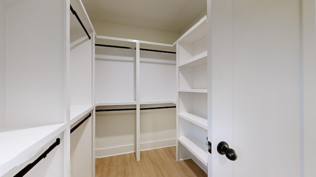 walk in closet featuring light wood-type flooring