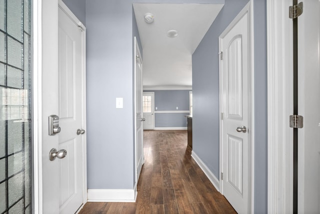 corridor with dark hardwood / wood-style flooring and ornamental molding