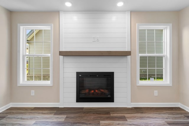 details featuring a large fireplace and wood-type flooring