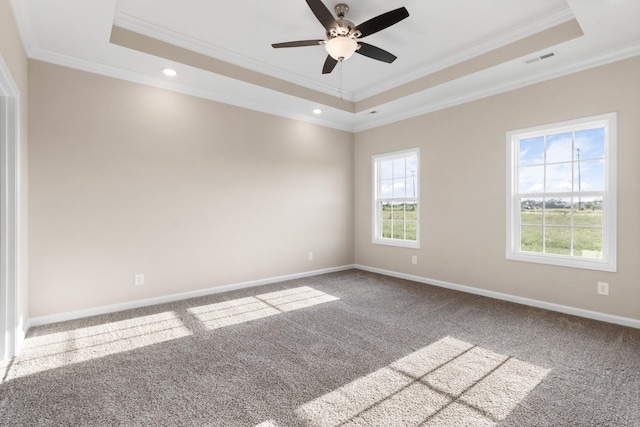 carpeted empty room featuring a raised ceiling, ceiling fan, and ornamental molding