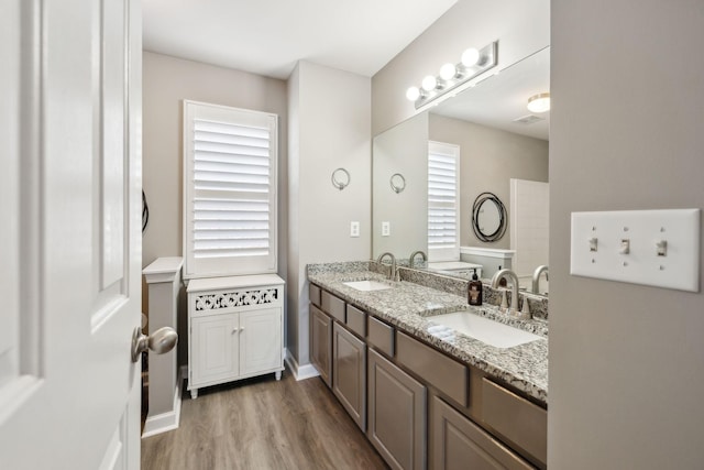 bathroom featuring vanity and wood-type flooring