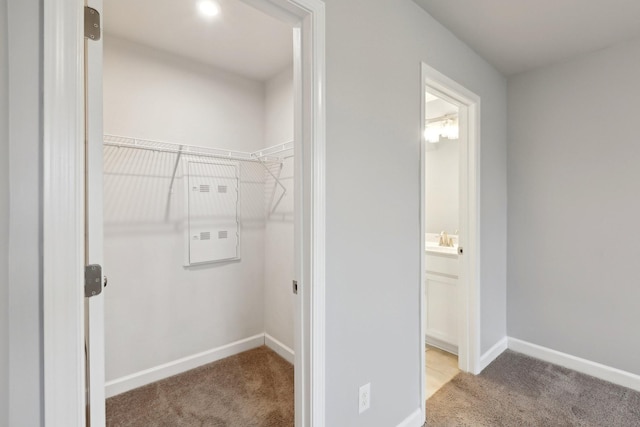 laundry area with sink and light colored carpet