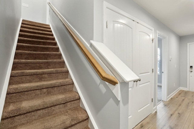 staircase featuring wood-type flooring