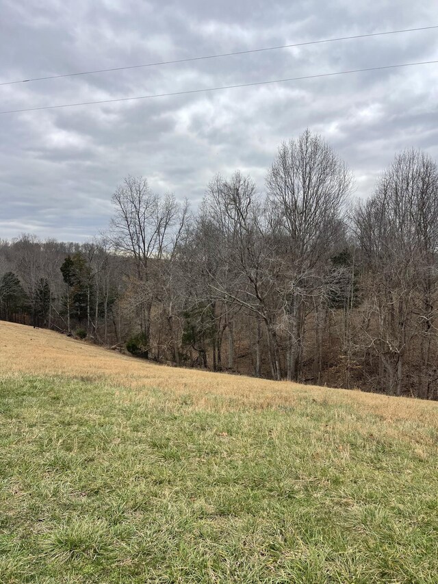 920 Purtle Rd, Lafayette TN, 37083 land for sale