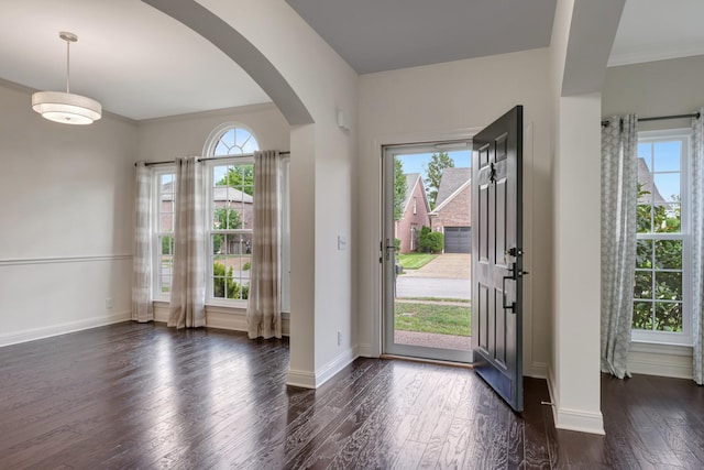 entrance foyer featuring plenty of natural light, crown molding, and dark wood-type flooring