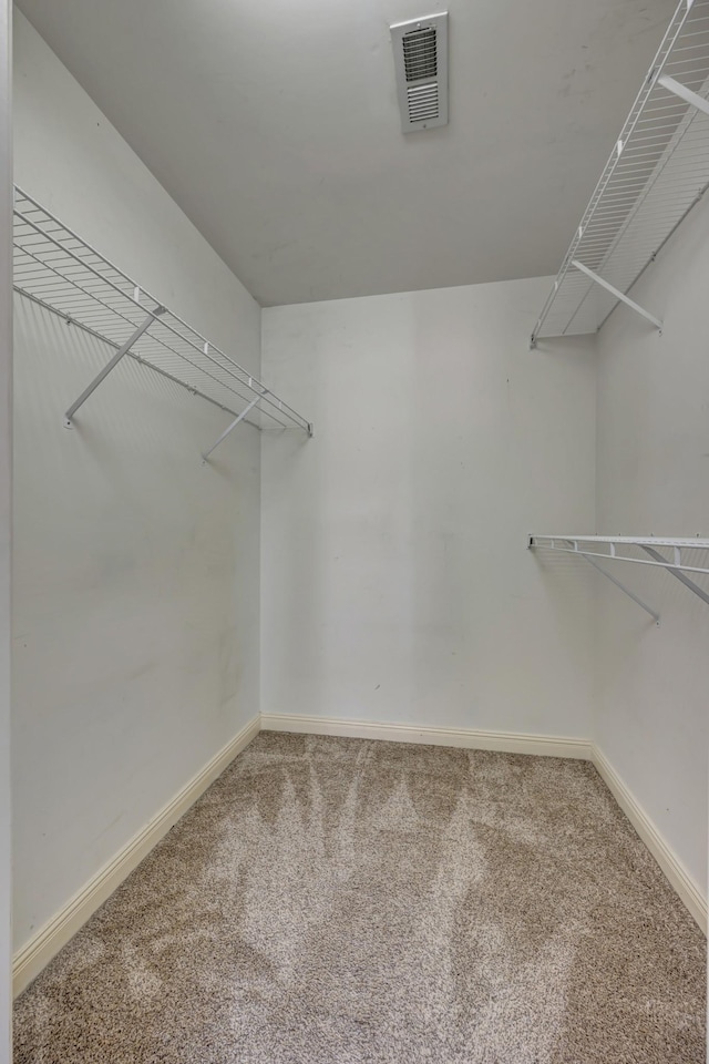 walk in closet featuring carpet flooring