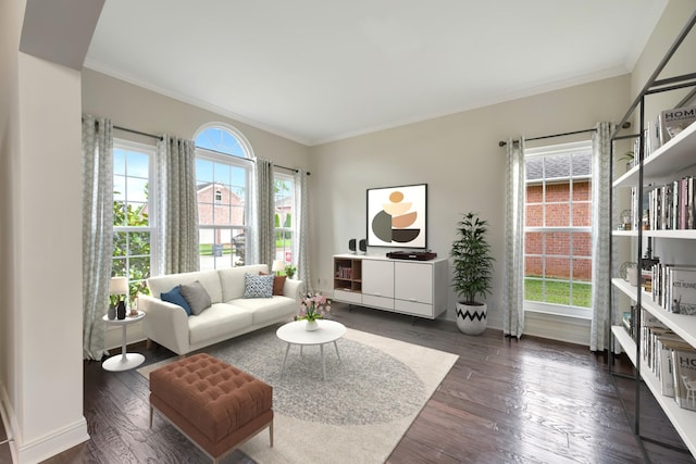 living room with dark hardwood / wood-style flooring and ornamental molding