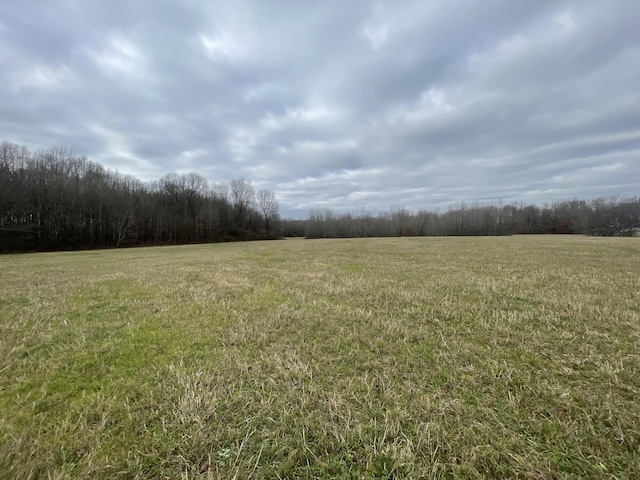 view of local wilderness featuring a rural view