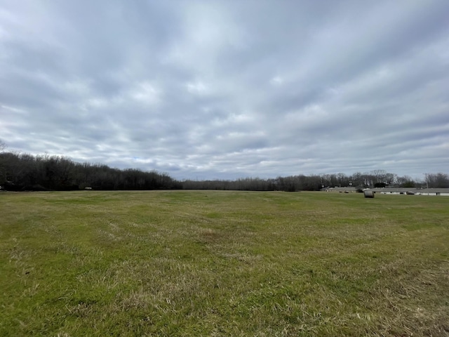 view of local wilderness featuring a rural view