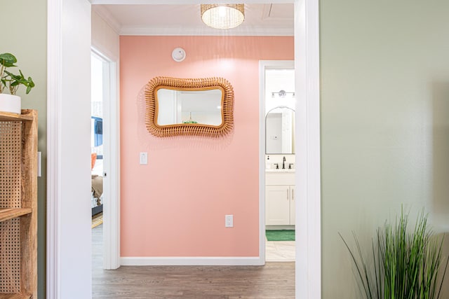 hallway with crown molding and wood-type flooring
