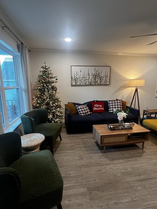 living room with ornamental molding and hardwood / wood-style floors