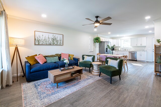 living room featuring ceiling fan, ornamental molding, wood-type flooring, and sink