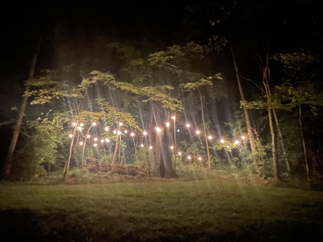 view of yard at night