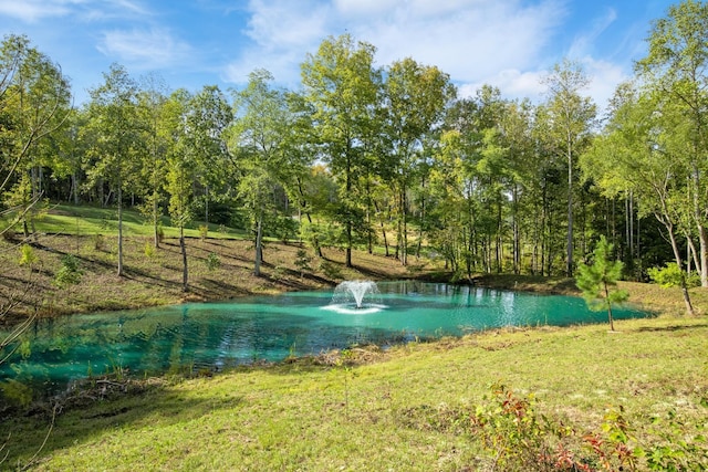 view of water feature