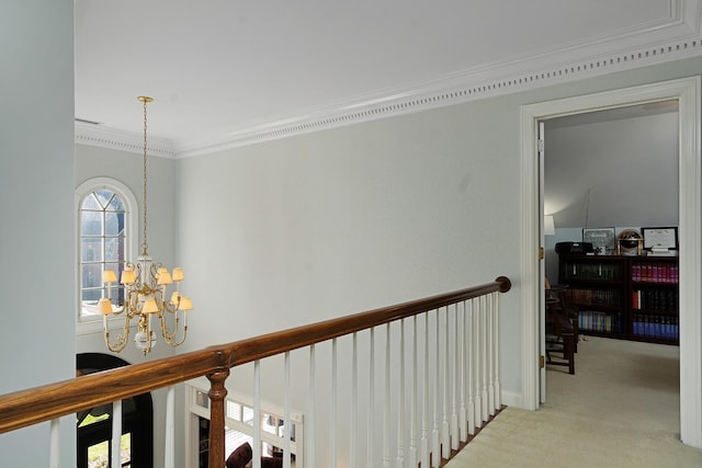 hall with light colored carpet, an inviting chandelier, and ornamental molding