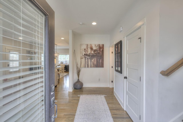 foyer with wood-type flooring