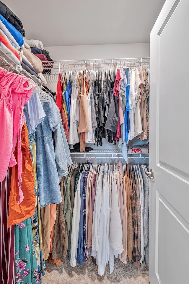 spacious closet with carpet floors