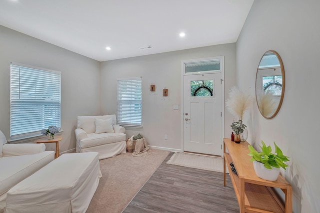 entryway featuring dark wood-type flooring