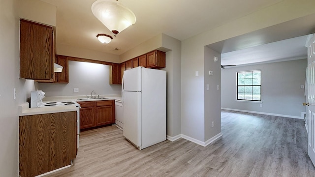 kitchen featuring white appliances, light hardwood / wood-style floors, ceiling fan, and sink