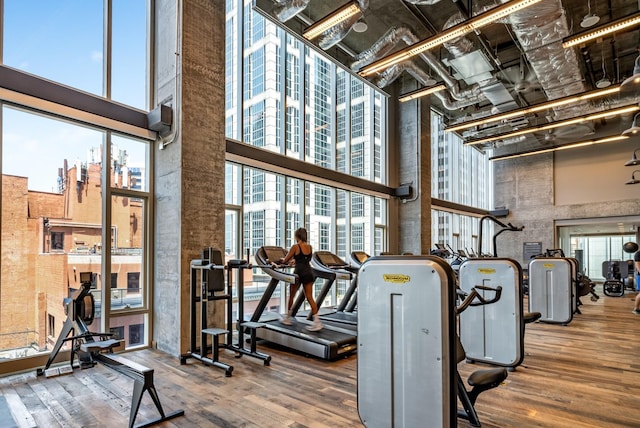 gym featuring a wealth of natural light, a towering ceiling, and hardwood / wood-style flooring