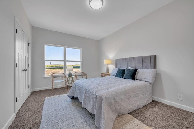 bedroom featuring carpet flooring