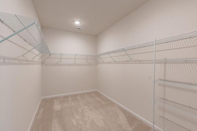 spacious closet with carpet flooring