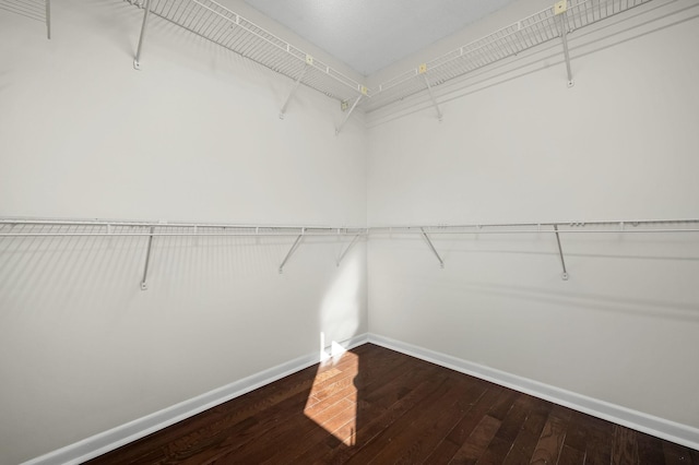 walk in closet with hardwood / wood-style flooring