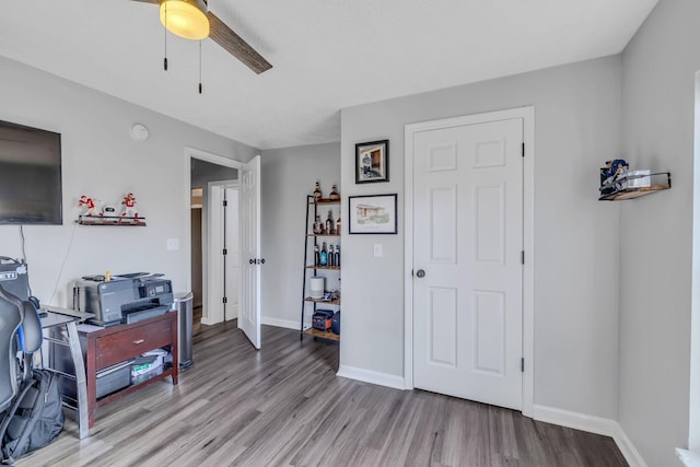 home office with ceiling fan and light hardwood / wood-style flooring