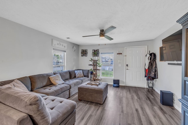 living room featuring wood-type flooring, a textured ceiling, and ceiling fan