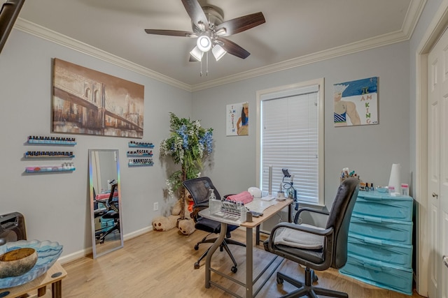 office featuring crown molding, ceiling fan, and light hardwood / wood-style floors