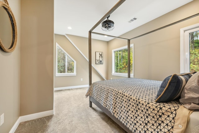 carpeted bedroom with multiple windows