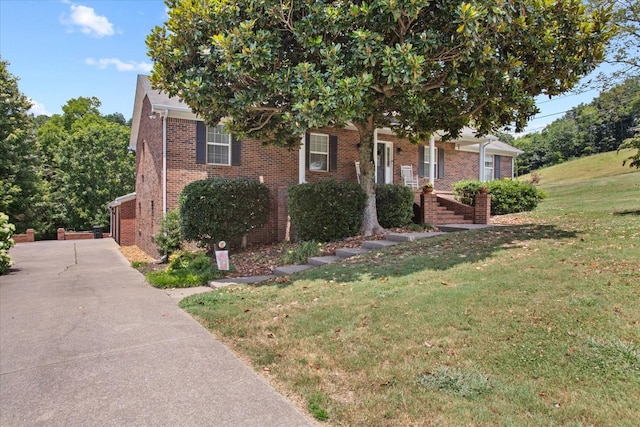 obstructed view of property with a front lawn