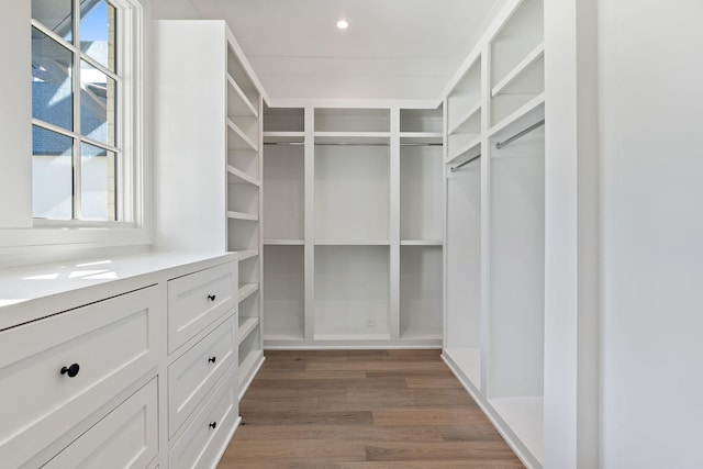 walk in closet with dark hardwood / wood-style floors