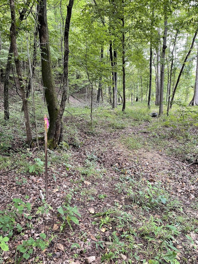 0 Brownfield Rd, Dover, TN 37058