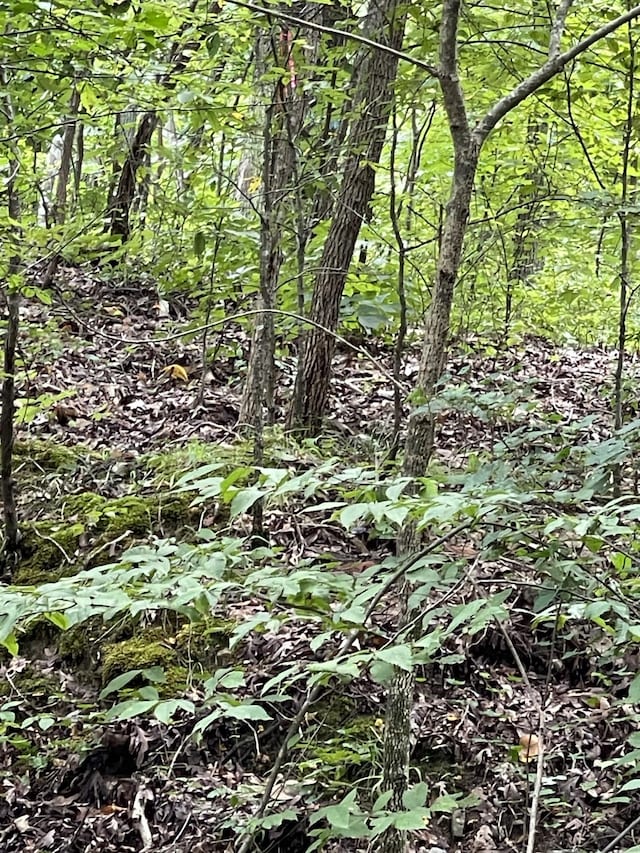 0 Brownfield Rd, Dover, TN 37058