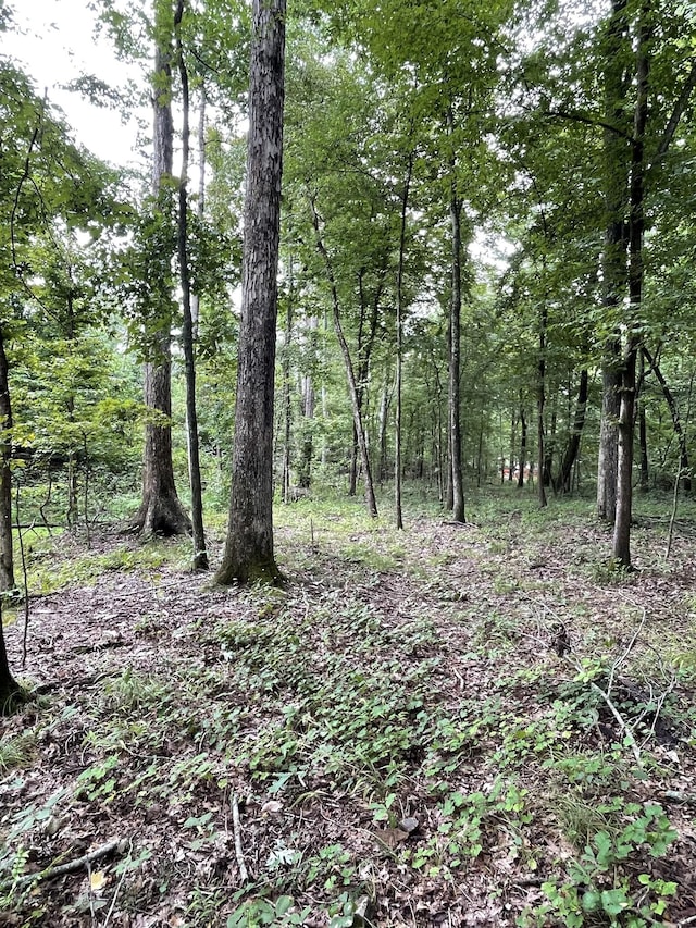 0 Brownfield Rd, Dover, TN 37058