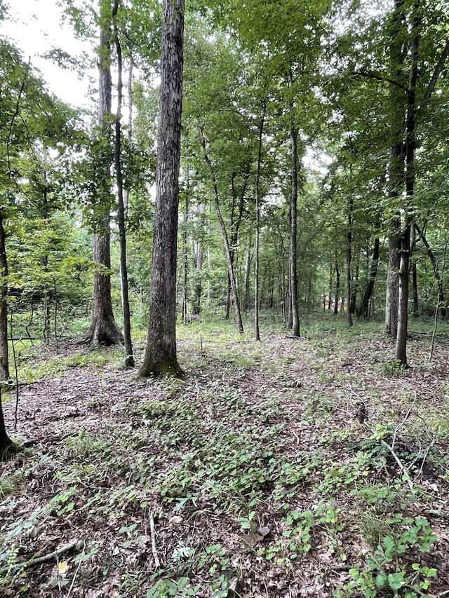 0 Brownfield Rd, Dover TN, 37058 land for sale