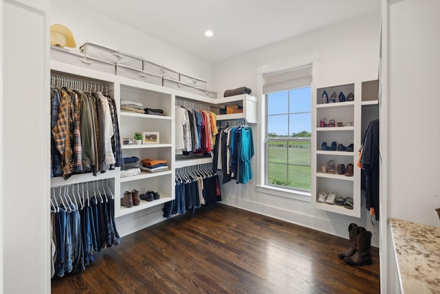 walk in closet featuring dark wood-type flooring